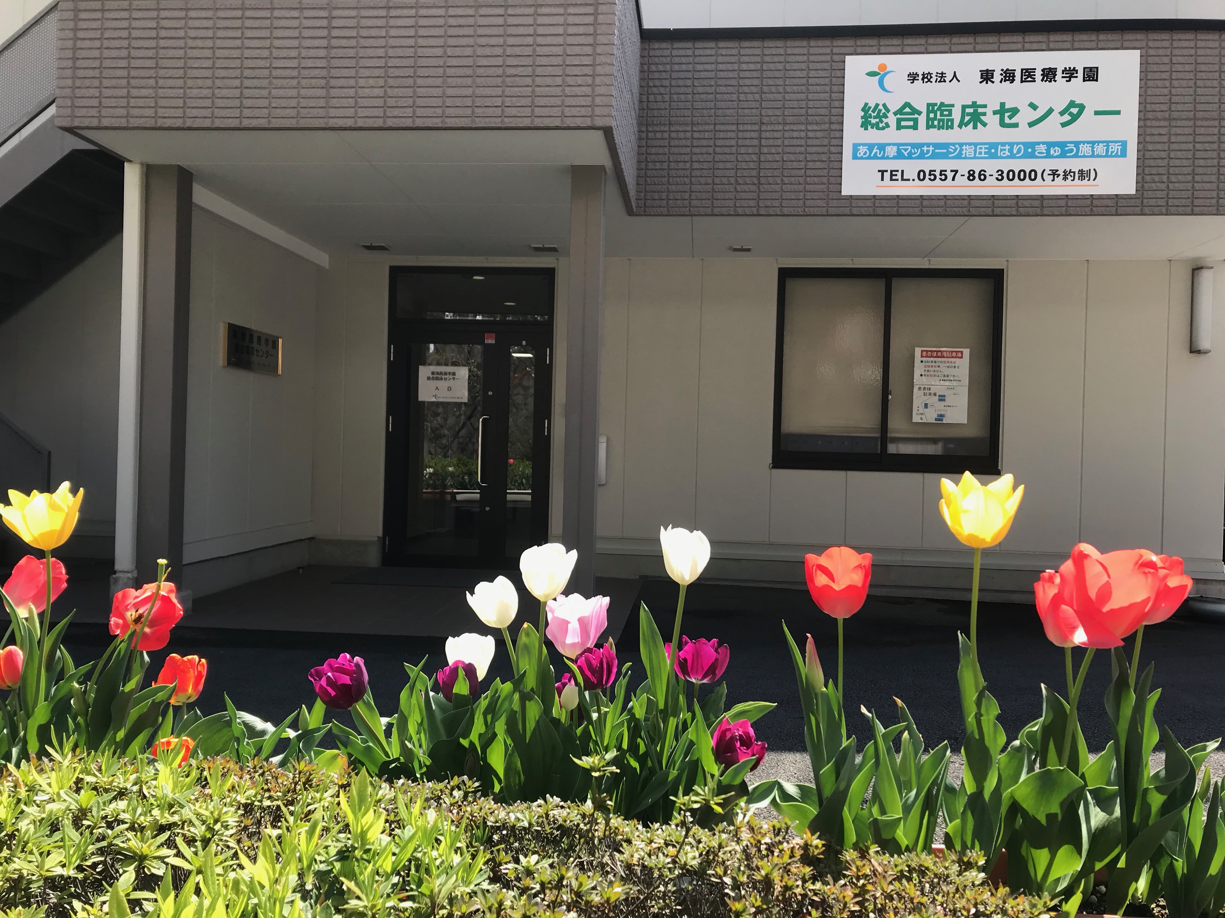 東海医療学園専門学校 附属総合臨床センター 静岡県熱海市桃山町 鍼灸院予約 検索サイト 健康にはり