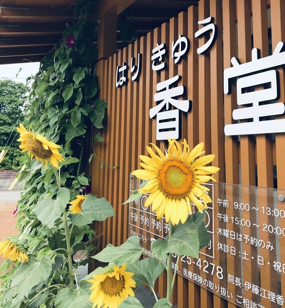 はりきゅう香堂
