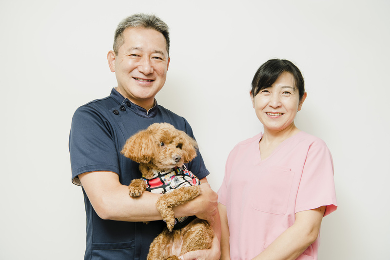 六万通りはりきゅう接骨院