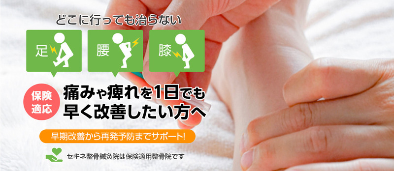 セキネ整骨鍼灸院