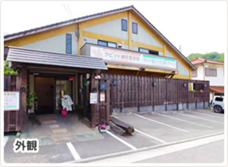 ラビット鍼灸整骨院
