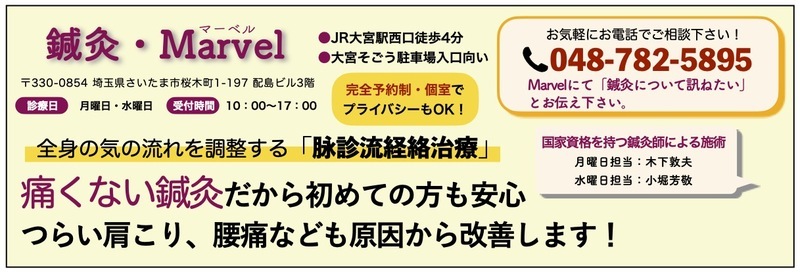 美容鍼灸 埼玉県全域の鍼灸院一覧 鍼灸院予約 検索サイト 健康にはり