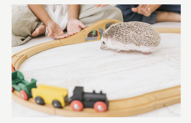 はりおきゅう杉山