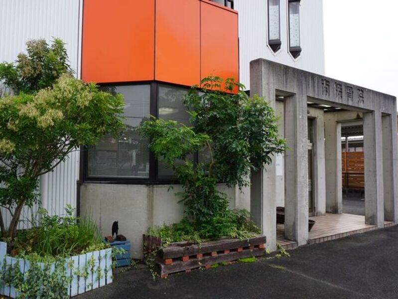 南接骨院＋鍼灸院