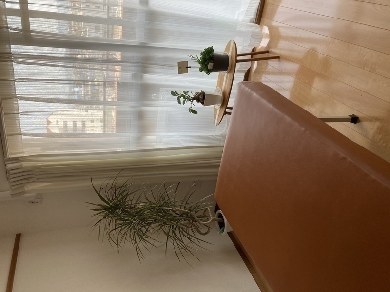 三浦鍼灸院　三浦接骨院