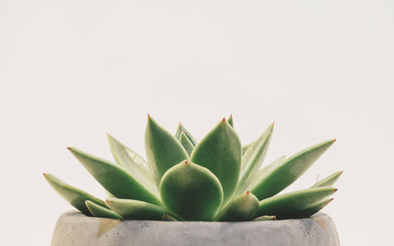 るーべり鍼灸治療室