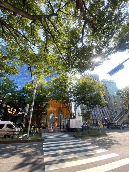 表参道 Hataki鍼灸院