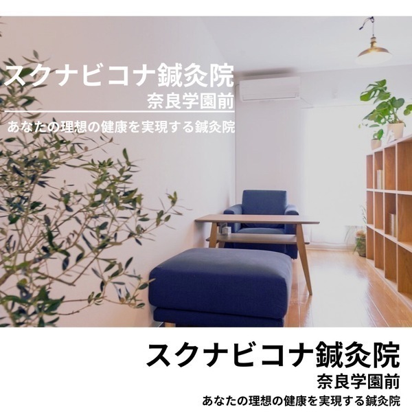 スクナビコナ鍼灸院