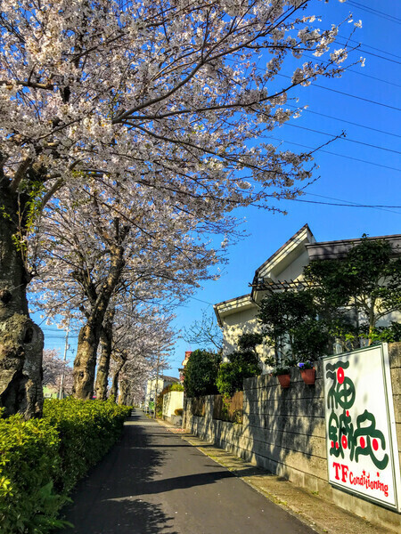 福鍼灸 TF Conditioning