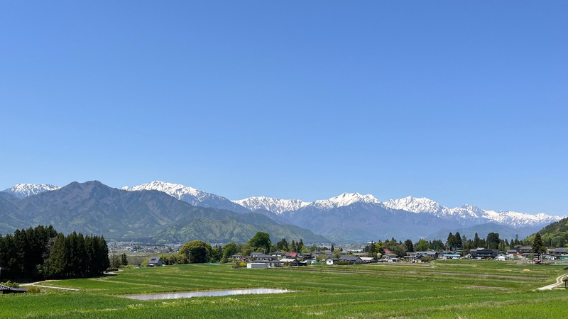 やまのはり灸院