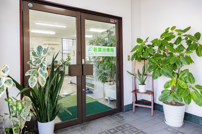 若葉治療院清水院