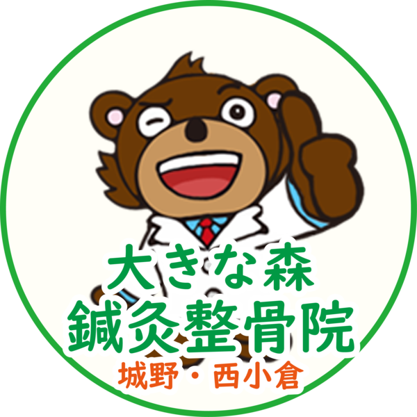 大きな森の鍼灸整骨院　西小倉院
