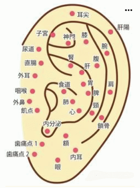 耳ツボダイエット