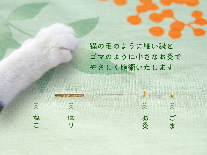 成鍼堂治療院