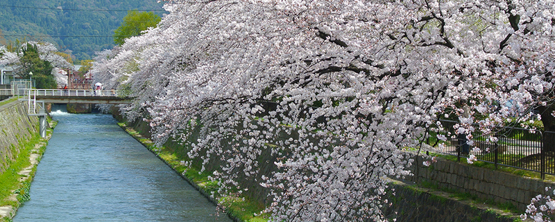 公益社団法人信和会　川端鍼灸治療院