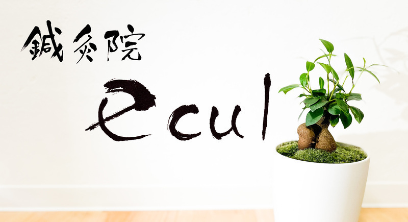 鍼灸 ecul