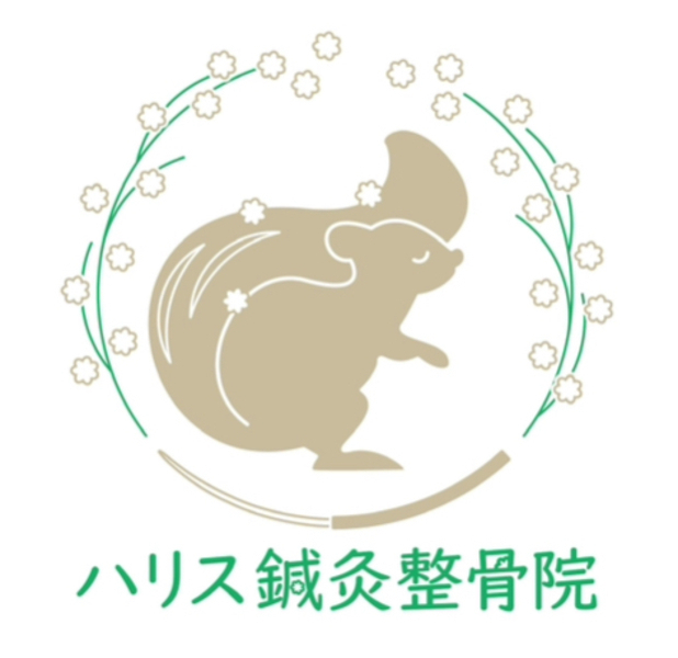 ハリス鍼灸整骨院