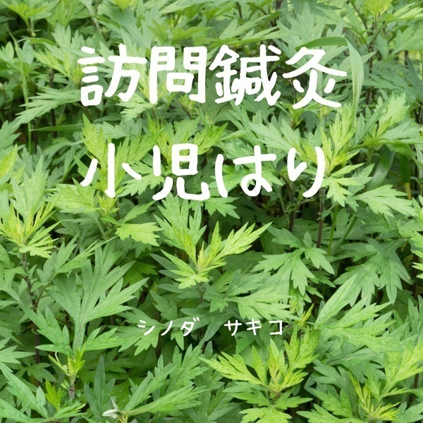 シノダ　サキコ