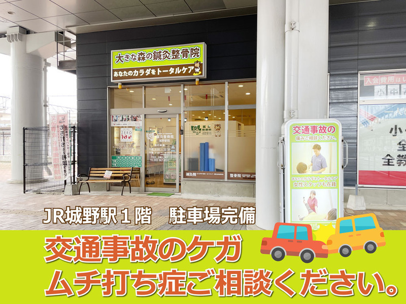 大きな森の鍼灸整骨院　城野駅院